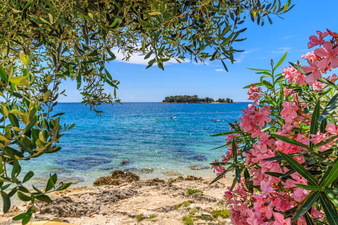 Al Mare Apartments Rovinj Eksteriør bilde