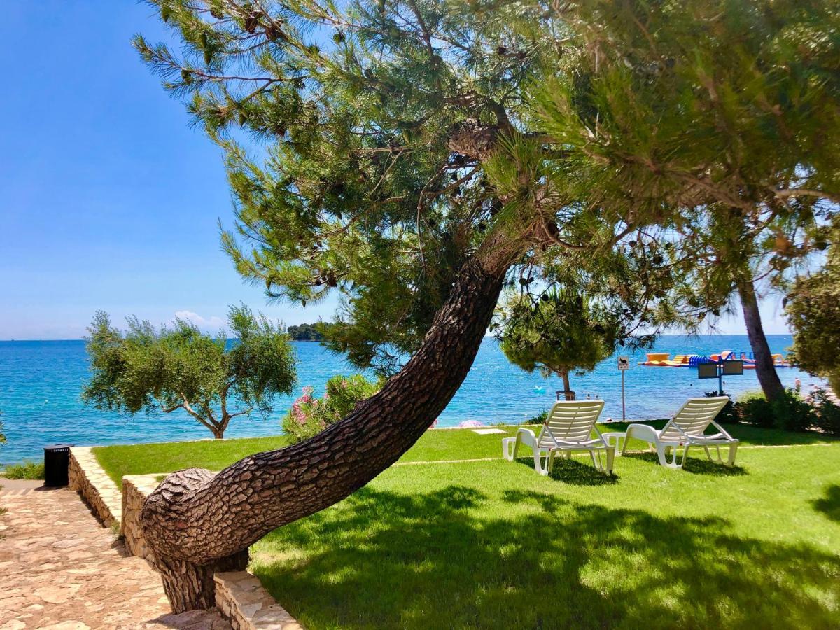 Al Mare Apartments Rovinj Eksteriør bilde